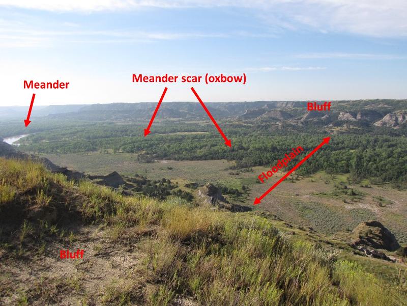 Meanders and meander scars in the Little Missouri flood plain